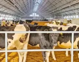 Применение теплогенераторов Janartau — сельское хозяйство