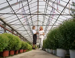 Применение теплогенераторов Janartau — теплицы