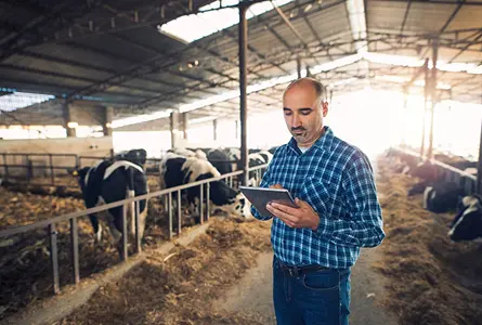 Применение теплогенераторов Janartau — сельское хозяйство